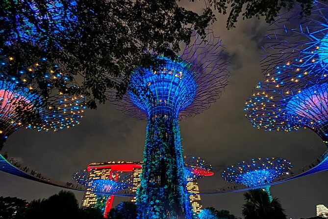 2 Pax Bundle Singapore River Cruise and Stunning Light Shows - Gardens by the Bay and the Supertree Grove show