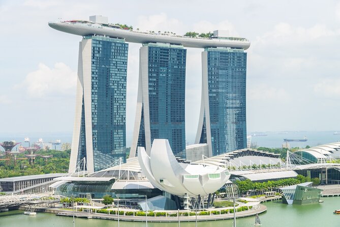 4 Hours - Singapore Tour in Private Car or Minibus with Driver - What the driver adds, and where the service has limits