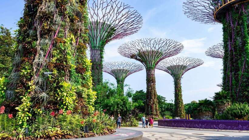 Best of Singapore: Private Walking Tour with a Local - Key points at a glance
