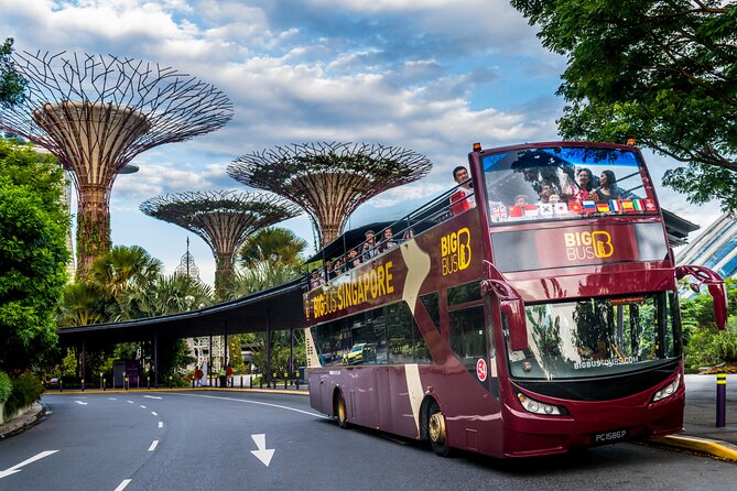 Big Bus Singapore Hop-On Hop-Off Tour - Key points to know before you board