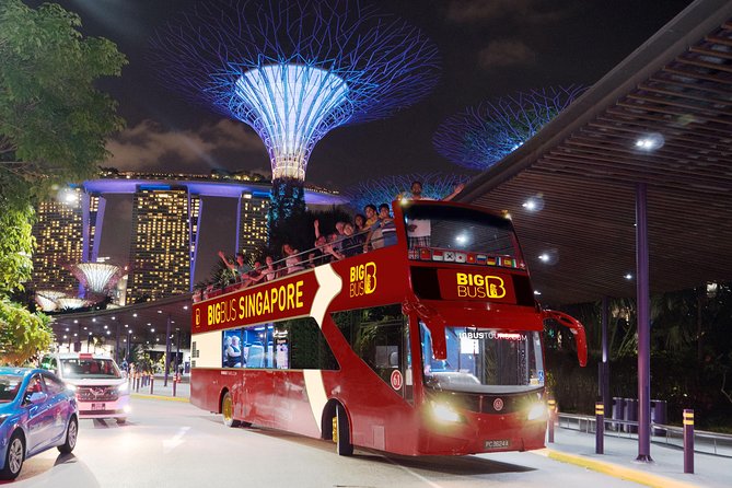 Big Bus Singapore Night Tour with Gardens by the Bay Light Show - Why this night tour works well in Singapore
