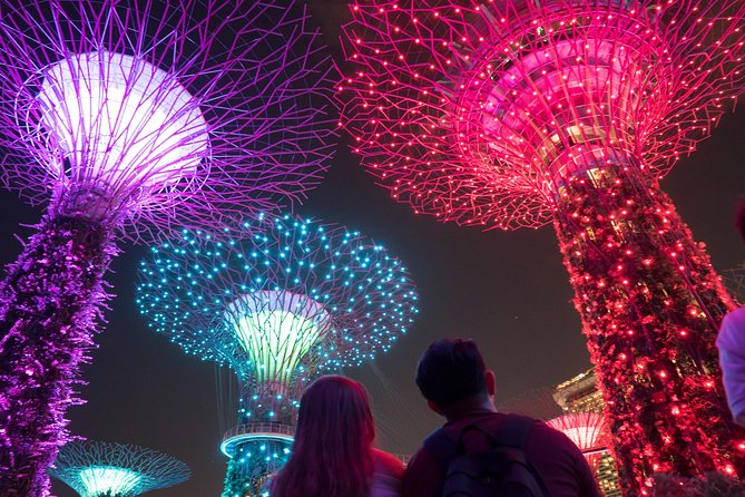 Big Bus Singapore Night Tour with Gardens by the Bay Light Show - Timing, walking, and comfort