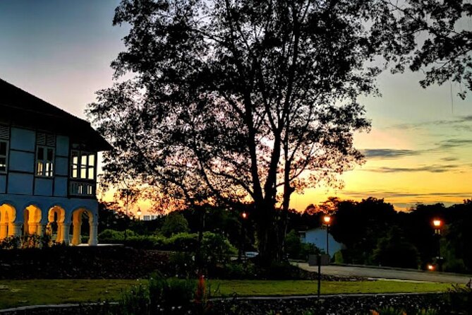 Botanic Gardens & Tiong Bahru Walking Tour with Breakfast - Why this morning covers more than a garden visit