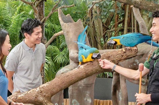 Breakfast In the Wild at Singapore Zoo Promo - Is the $102.56 price good value?