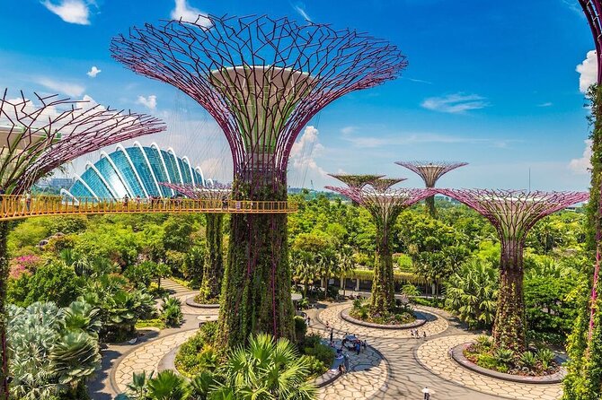 City Tour+Gardens by the Bay(FlowerDome&JurassicWorld) Transfers - Entering Gardens by the Bay