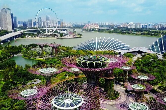 City Tour+Gardens by the Bay(FlowerDome&JurassicWorld) Transfers - What the guide adds to the morning