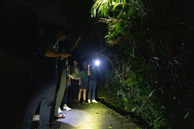 Explore a Rainforest teeming with Wildlife at Night! - Meeting at Mandai at 8:00 pm