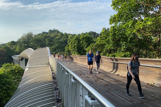 Exploring Singapore’s Forgotten Hills - Mount Faber and the Marang Trail climb
