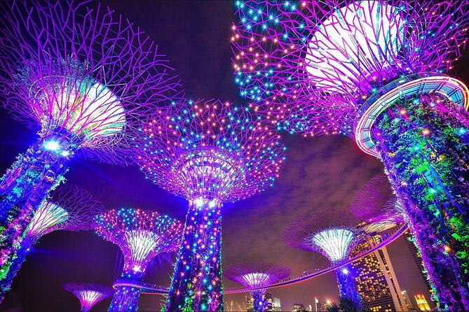 Fabulous Night-Out Private Tour in Singapore - Why this private night tour works