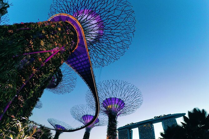Fabulous Night-Out Private Tour in Singapore - Merlion Park: Singapore’s classic photograph