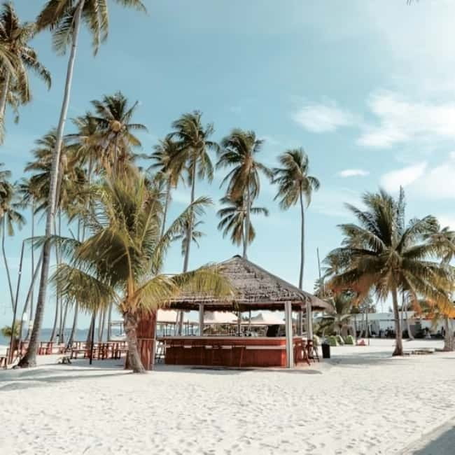 From Singapore : Private Batam Island Snorkeling and Canoe - Lunch, fresh juice, and the extra meal detail
