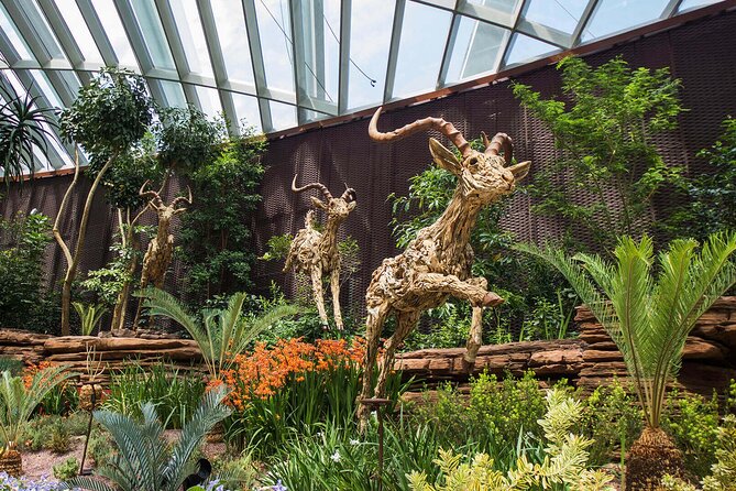 Garden by the Bay Singapore combo - Key points to know before you book