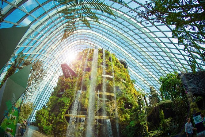 Garden by the Bay Singapore combo - Supertrees, OCBC Skyway, and skyline choices