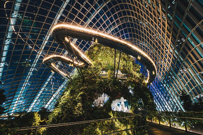 Garden by the Bay Singapore combo - Garden Rhapsody after dark