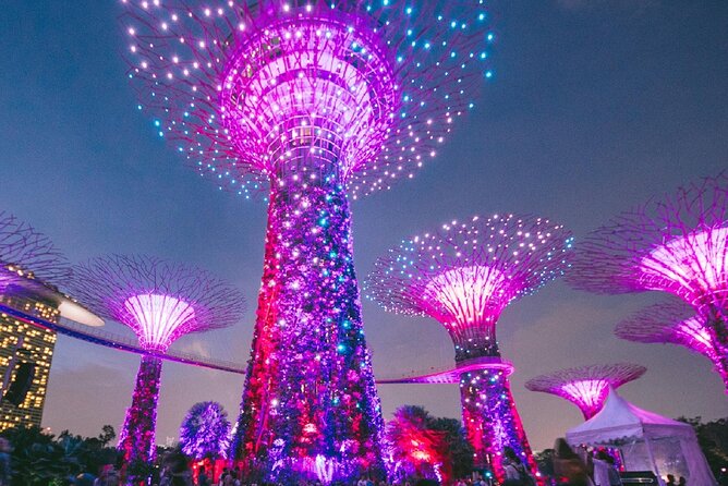 Garden by the Bay Singapore combo - Flower Dome’s nine regional gardens