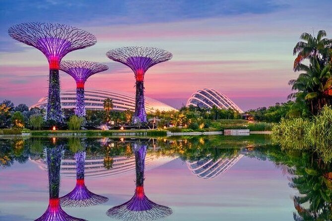 Gardens by the Bay E - Ticket with Flower Dome +CF Singapore - Two cooled domes, one compact Singapore stop