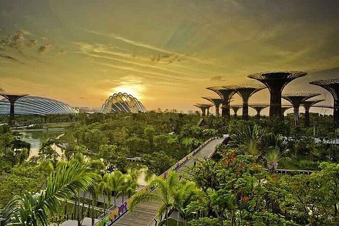 Gardens by the Bay E - Ticket with Flower Dome +CF Singapore - Getting there and using the ticket