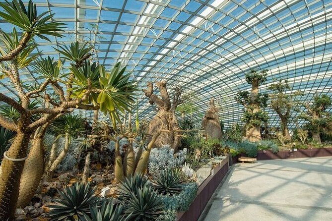 Gardens by the Bay E - Ticket with Flower Dome +CF Singapore - Price and what the $29.75 buys