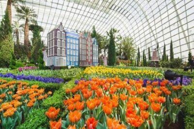 Gardens By The Bay E-Tickets