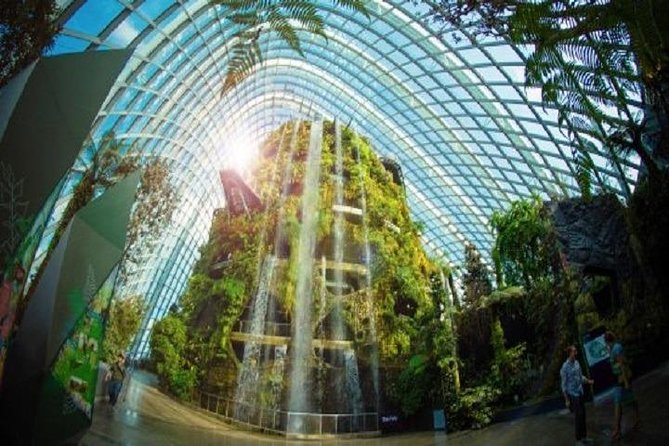 Gardens By The Bay E-Tickets - Exploring the wider 101-hectare garden