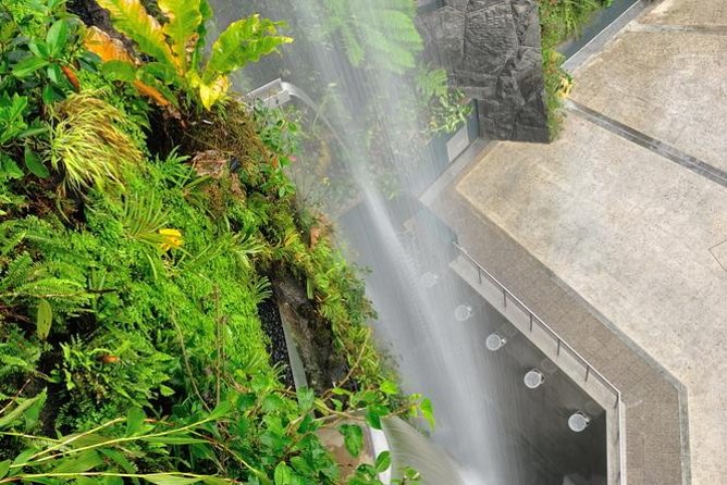 Gardens By the Bay Exp Event - Key points to know before you book