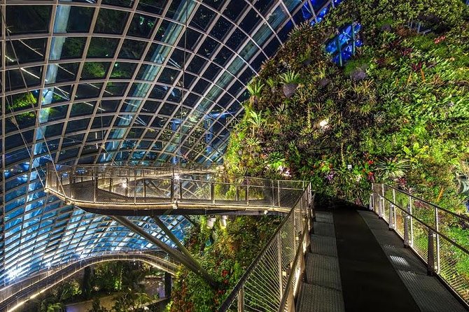 Gardens By the Bay Exp Event - Why Gardens by the Bay deserves a place in your Singapore plans