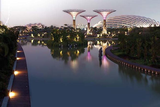 Gardens By the Bay Exp Event - Super Trees, lakes, and the outdoor gardens