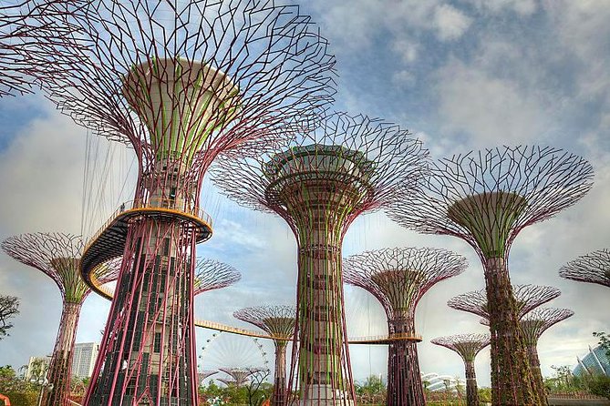 Gardens By the Bay Exp Event - How the hotel pickup really works