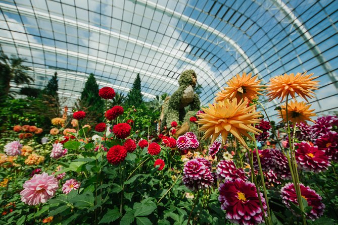 Gardens By the Bay Exp Event - The missing return transfer can be a benefit