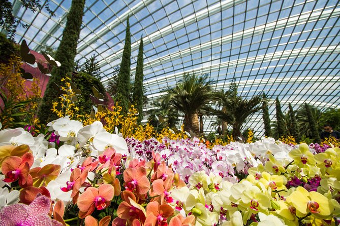 Gardens By the Bay Exp Event - Is $57.97 a fair price?