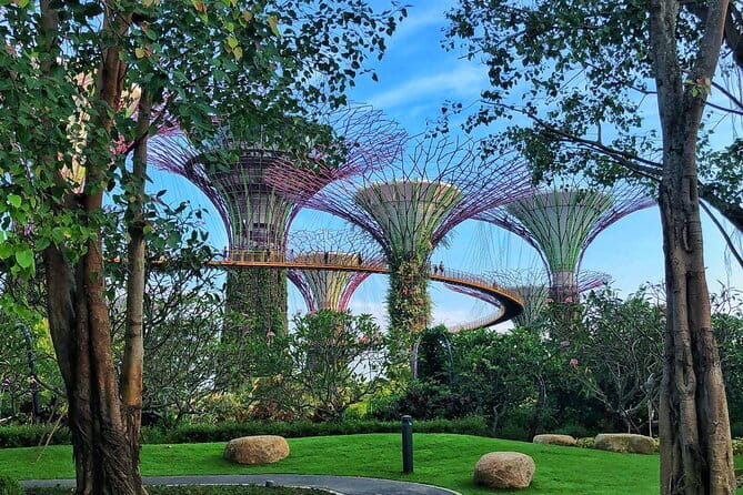 Gardens by the Bay Guided Tour - Singapore’s giant garden with a science-fiction skyline