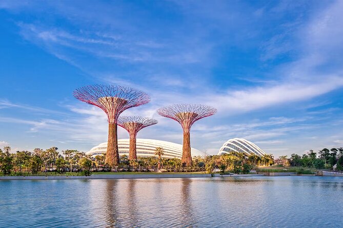 Gardens by the Bay & Marina Bay Sands Tickets - Supertree Grove after dark
