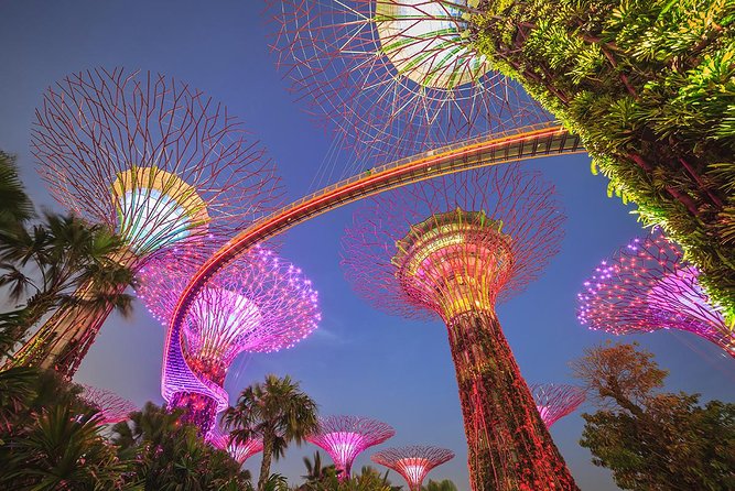 Gardens by the Bay with 2 Flower Dome + Marina Bay Sands Skypark - Why this half-day route works in Singapore