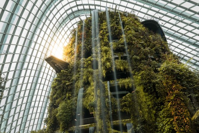 Gardens by the Bay with 2 Flower Dome + Marina Bay Sands Skypark - What the driver-led format is really like