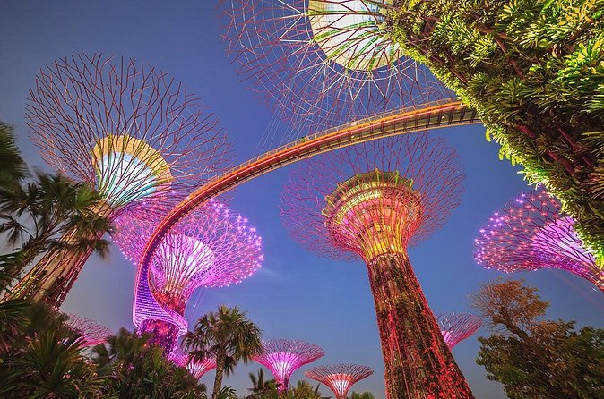 Gardens by the Bay with 2 Flower Dome + Marina Bay Sands Skypark - Is $154.35 a fair price?