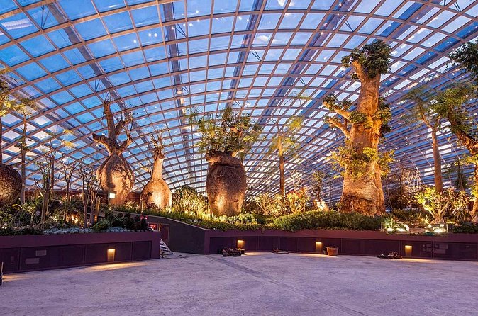 Gardens by the Bay with 2 Flower Dome + Marina Bay Sands Skypark - Who should book this outing?