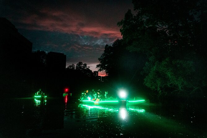 Glow Kayak Night Adventure in the Mangroves - Why this night paddle feels different