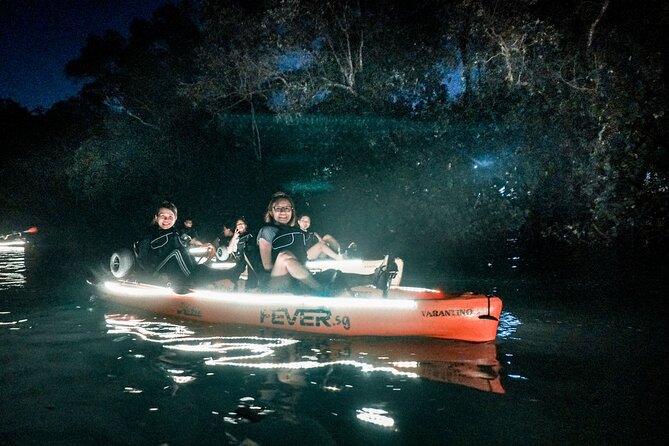 Glow Kayak Night Adventure in the Mangroves - What makes the mangroves worth your evening