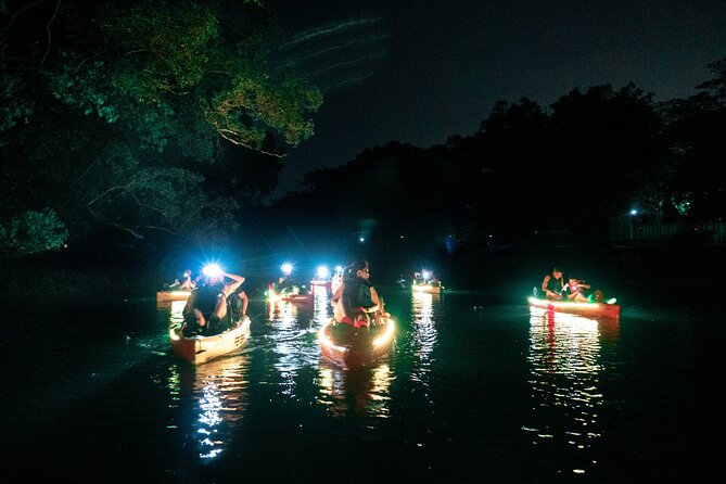 Glow Kayak Night Adventure in the Mangroves - How much effort is involved