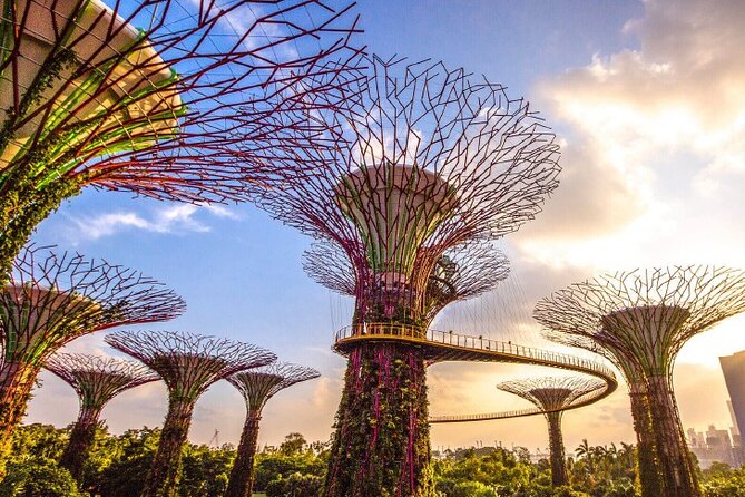 Half Day Private Guided Tour through Singapore's Iconic Landmarks - Chinatown: old trades beside new cafés