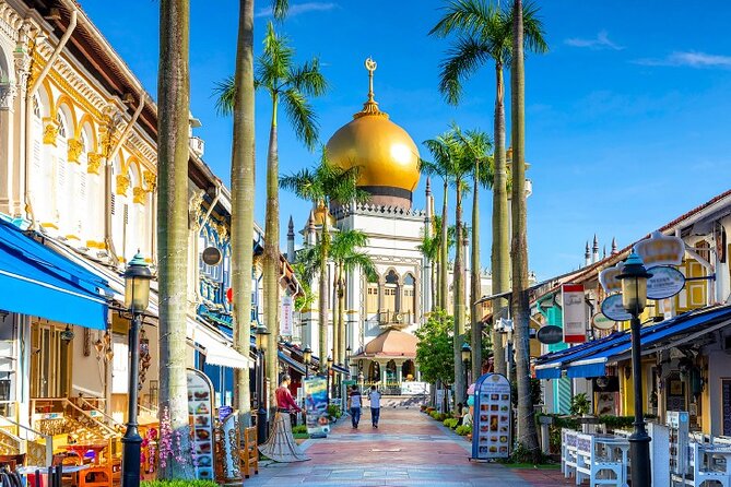 Half Day Private Guided Tour through Singapore's Iconic Landmarks - Kampong Glam: Malay culture and royal connections