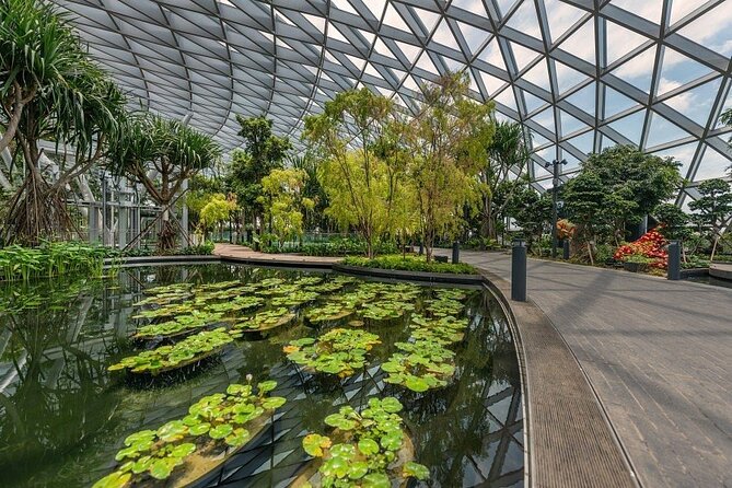 Jewel Changi Airport: Canopy Park Admission Ticket - Getting there and planning around re-entry