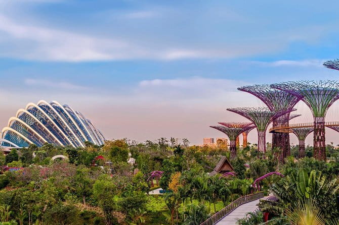 Jewel Changi Airport Canopy Park Tickets - Petal Garden: the adult-friendly corner