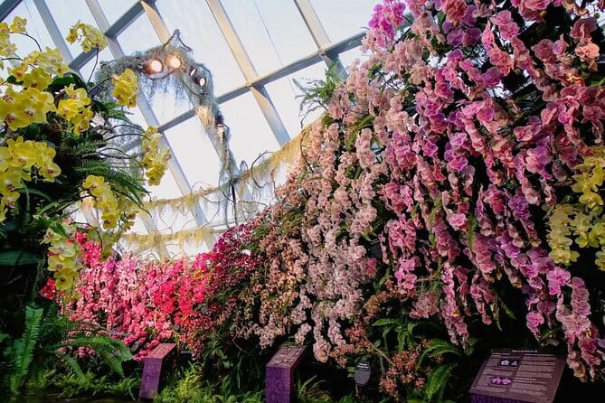 Jewel Changi Airport Canopy Park Tickets - Rain Vortex and the indoor forest
