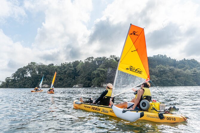 Kayak Sailing in Singapore, Mangrove, Kelong & Pulau Ubin, Seafood Meal Included - Steering through Pulau Ubin’s mangrove forest