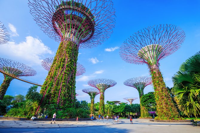 Kickstart Your Trip To Singapore With A Local: Private & Personalized - What the host adds to the experience