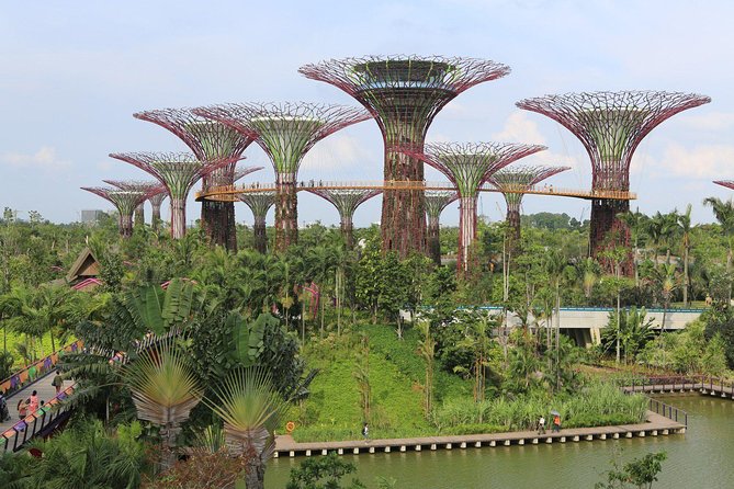 Lion City Night Out + Roundtrip Transfers - Key points to know before booking