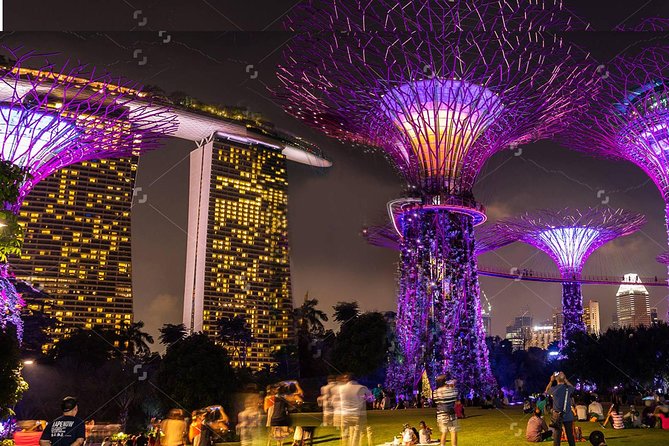 Lion City Night Out + Roundtrip Transfers - Gardens by the Bay and the short Supertree show
