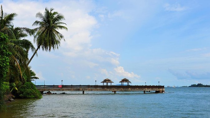 Mangrove Kayaking Adventure in Singapore - Key points to know before you paddle