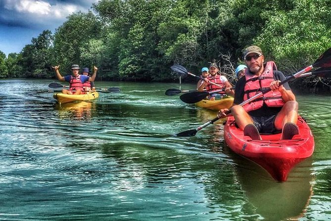 Mangrove Kayaking Adventure in Singapore - Why Pulau Ubin makes this kayak trip special
